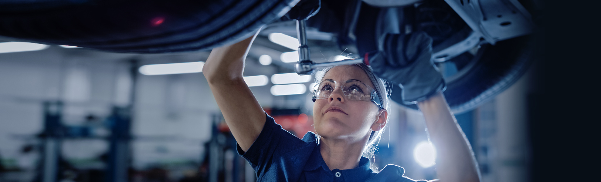 Ausbildung & Karriere